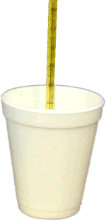 Coffee cup calorimeter