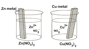 a zinc copper electrochemical cell (incomplete)