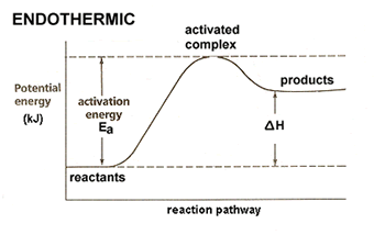 Endothermic